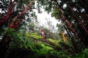 BIB: 
                            <button type="button" onclick="openModal(26202342)" class="btn btn-primary btn-sm float-right btn-popup" data-toggle="modal" data-target=".modal-high-quality">
                        <i class="fas fa-shopping-cart"></i> Add to Cart
                    </button>
                                            <button type="button" onclick="isThisMe(26202342, true)" class="btn btn-success btn-sm float-right btn-popup btn-isme hidden" data-toggle="tooltip" data-placement="bottom" title="นี่คือรูปของคุณใช่ไหม คลิกที่นี่เพื่อเอาเข้าอัลบั้ม">
                        <i class="fas fa-plus"></i> Add to album
                    </button>
                    <button type="button" onclick="isThisMe(26202342, false)" class="btn btn-warning btn-sm float-right btn-popup btn-isnotme hidden">
                        <i class="fas fa-ban"></i> Remove from album
                    </button>